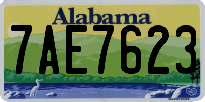 AL license plate 7AE7623