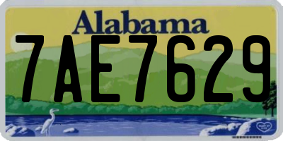 AL license plate 7AE7629