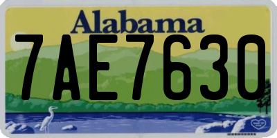 AL license plate 7AE7630