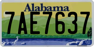 AL license plate 7AE7637