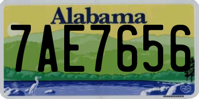 AL license plate 7AE7656