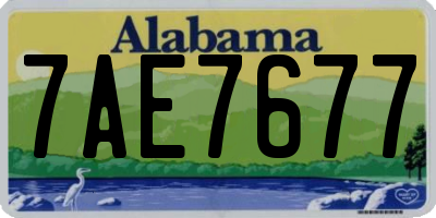 AL license plate 7AE7677