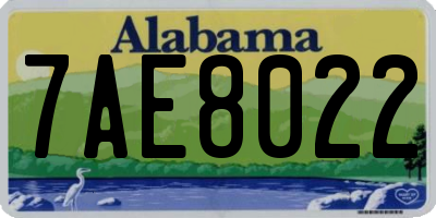 AL license plate 7AE8022