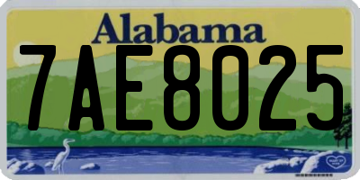 AL license plate 7AE8025
