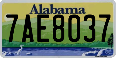 AL license plate 7AE8037
