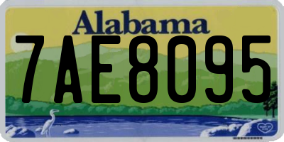 AL license plate 7AE8095