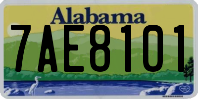 AL license plate 7AE8101