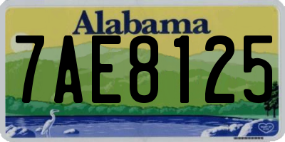 AL license plate 7AE8125