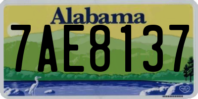 AL license plate 7AE8137