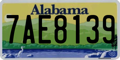 AL license plate 7AE8139