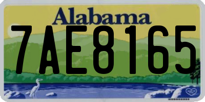 AL license plate 7AE8165
