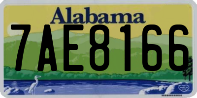 AL license plate 7AE8166