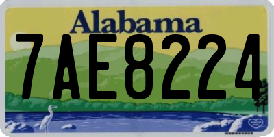 AL license plate 7AE8224