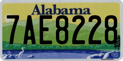 AL license plate 7AE8228