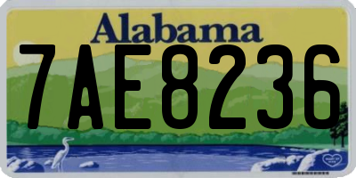 AL license plate 7AE8236