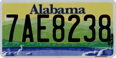 AL license plate 7AE8238
