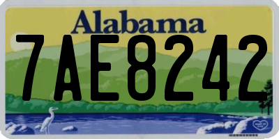 AL license plate 7AE8242