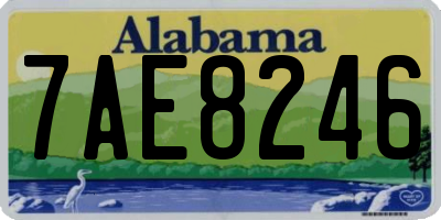 AL license plate 7AE8246