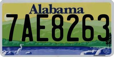 AL license plate 7AE8263