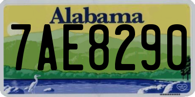 AL license plate 7AE8290