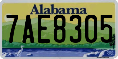 AL license plate 7AE8305