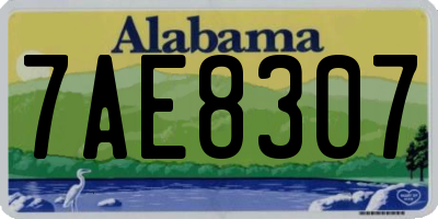 AL license plate 7AE8307
