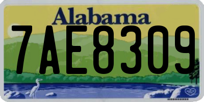 AL license plate 7AE8309