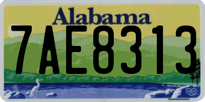 AL license plate 7AE8313