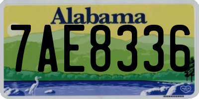 AL license plate 7AE8336