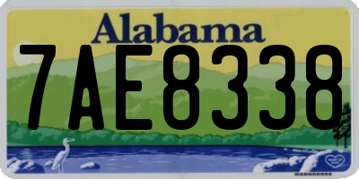 AL license plate 7AE8338