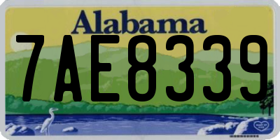 AL license plate 7AE8339