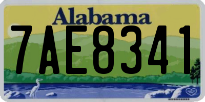 AL license plate 7AE8341