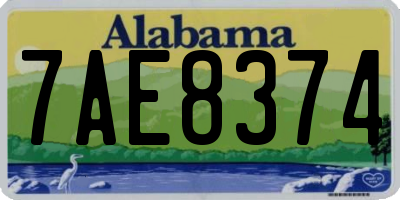 AL license plate 7AE8374