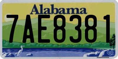 AL license plate 7AE8381