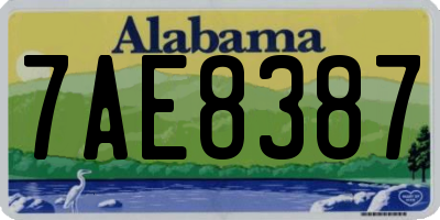 AL license plate 7AE8387