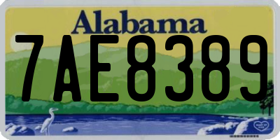 AL license plate 7AE8389