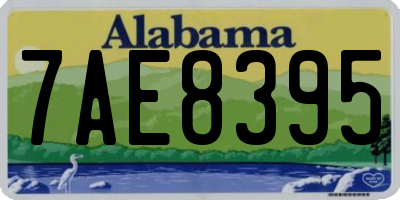 AL license plate 7AE8395