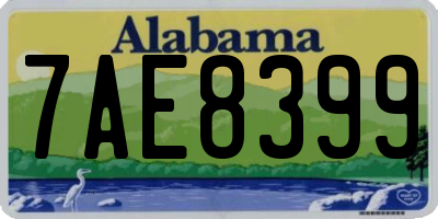 AL license plate 7AE8399