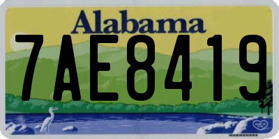 AL license plate 7AE8419