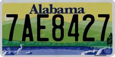 AL license plate 7AE8427