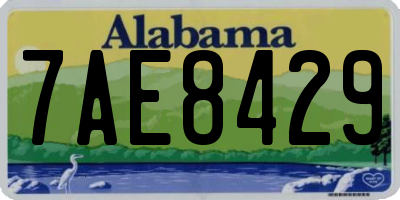 AL license plate 7AE8429