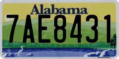 AL license plate 7AE8431