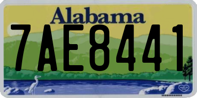 AL license plate 7AE8441