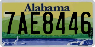 AL license plate 7AE8446