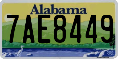 AL license plate 7AE8449