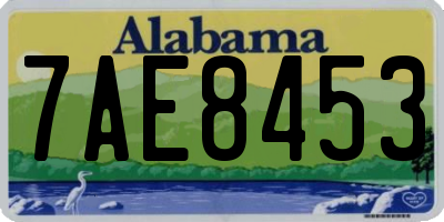 AL license plate 7AE8453