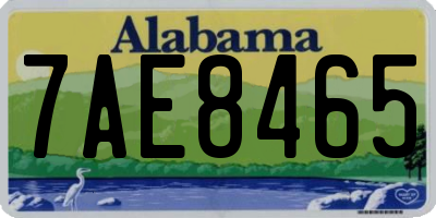 AL license plate 7AE8465