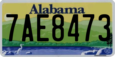 AL license plate 7AE8473