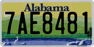 AL license plate 7AE8481