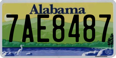 AL license plate 7AE8487